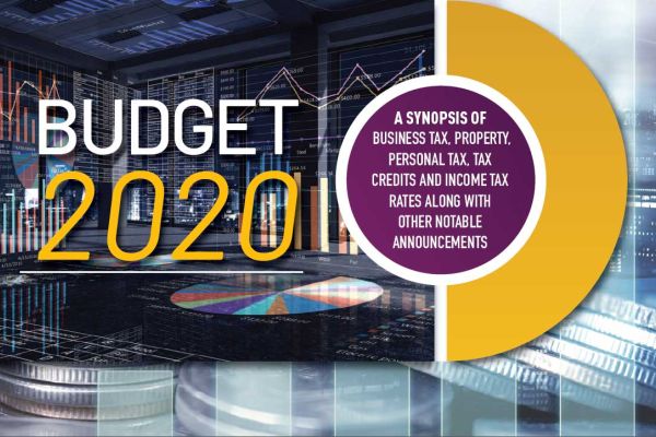 Image for article Budget 2020.